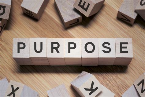 Our Purpose .